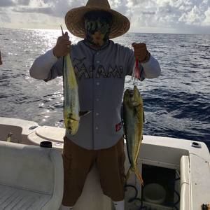 Meet your Posher, Franklin